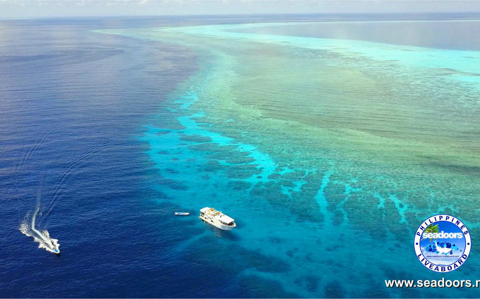 Tauchsafari Tubbataha Reefs und Visayas 