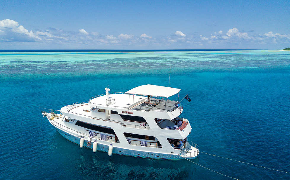MY Sheena – Safariboot Malediven 