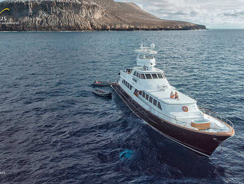Tauchsafaris Mexiko · Nautilus Gallant Lady 
