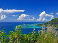 Opunohu Bay · Tauchurlaub Moorea 