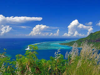 Opunohu Bay · Tauchurlaub Moorea 