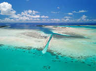 German Channel (Ngemelis Islands) · Palau Tauchreisen 