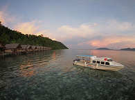 Papua Explorers – Pulau Gam, Raja Ampat 