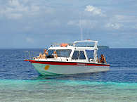 Papua Paradise Divers – Tauchboot 