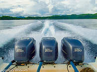 Papua Paradise Divers 
