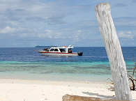 Tauchbasis Papua Paradise Divers 