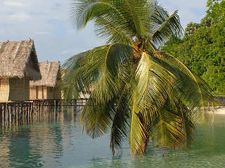 Papua Paradise Eco Resort 