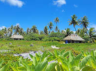 Fare Robinson-Bungalows in weitem Abstand zueinander 