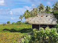 Robinson-Bungalows der Pension Raimiti an der Riffseite Fakaravas 