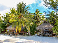 Pension Tikehau Village – Französisch Polynesien 