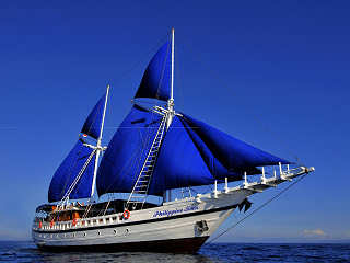 Philippine Siren · Tauchsafaris Philippinen (Visayas und Tubbataha) 