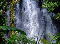 Wasserfall auf den Philippinen 