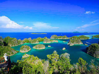 Pianemo in Raja Ampat 
