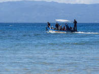 Polaris Dive Center Cabilao · Tauchreisen Philippinen (Bohol) 