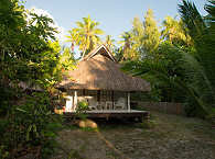 Bungalow unter Palmen – Rangiroa, Tuamotu Archipel 