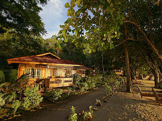 Strandbungalows unter Ficus-Bäumen 