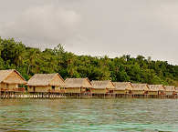 Tauchresort in Raja Ampat – Papua Paradise Resort 