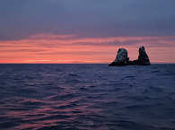 Roca Partida · Socorro Tauchreisen 