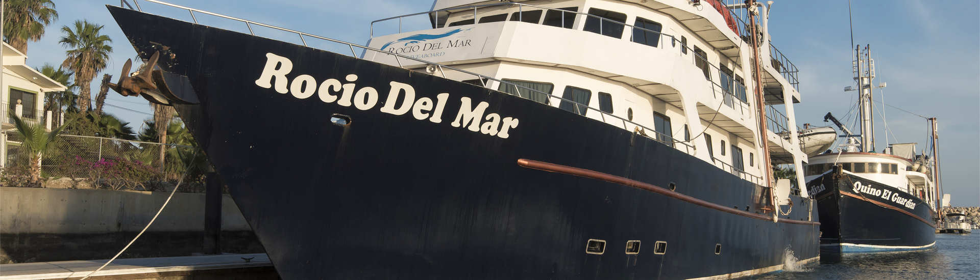 Safariboot Socorro und Sea of Cortez 