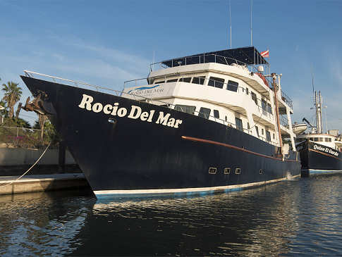 Safariboot Socorro und Sea of Cortez 