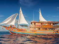 Safariboot KLM Sunshine – Sulawesi & Halmahera, Indonesien 