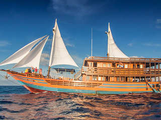 Safariboot KLM Sunshine – Sulawesi & Halmahera, Indonesien 
