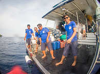 Tauchsafari auf der Raja Ampat Aggressor 