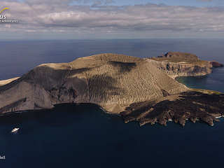 San Benedicto Island · Tauchsafaris Socorro 