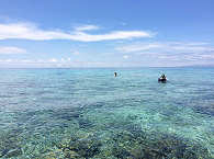 Schnorcheln an Balicasag · Bohol 