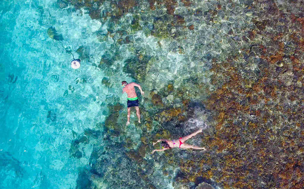Schnorcheln in Raja Ampat, Indonesien 