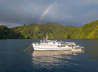 Tauchsafaris Cocos Island · Liveaboard Sea Hunter 