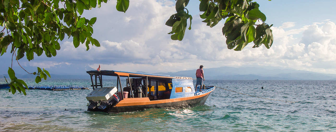 Blick auf’s Wasser – Sea Souls Diving Bangka, Sulawesi 