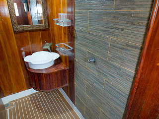 Badezimmer mit Warmwasserdusche, Waschbecken und WC 