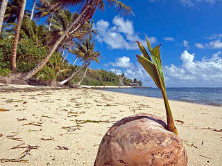 Strand auf Yap 