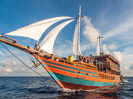 KLM Sunshine – Tauchsafaris Halmahera, Sangihe, Lembeh & Bunaken 