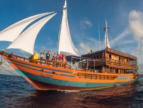 KLM Sunshine – Tauchsafaris Sulawesi und Halmahera 