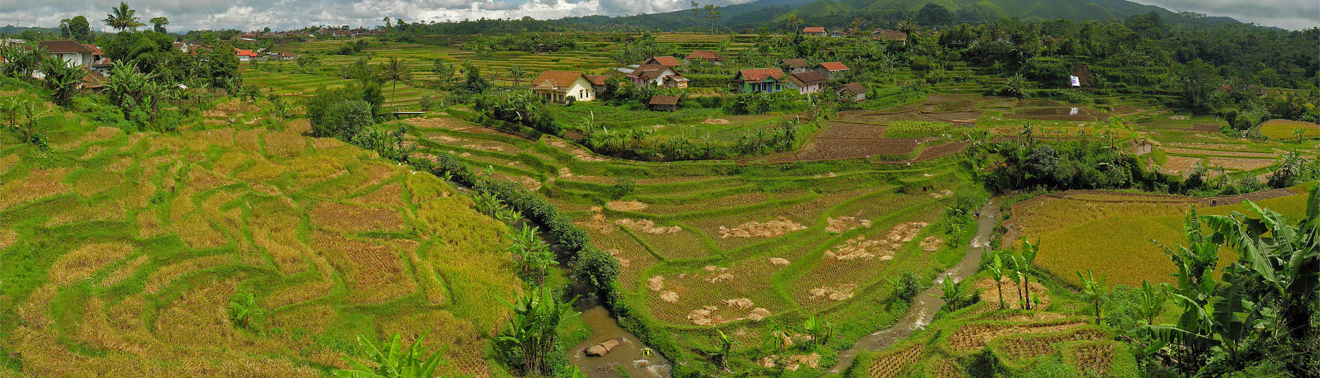 Vulkanisches Minahasa der Hochland 