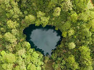 Herzförmige Cenote im Duschel Yucatáns 