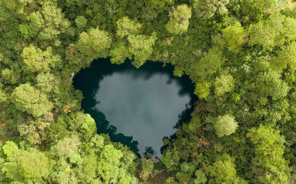 Herzförmige Cenote im Duschel Yucatáns 