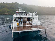 Tauchplattform der MV Sea Hunter Cocos 
