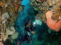 Unterwasserwelten Indonesiens 