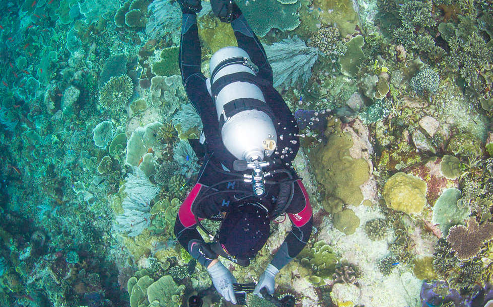 Tauchen im Komodo Marine Park · Indonesien 