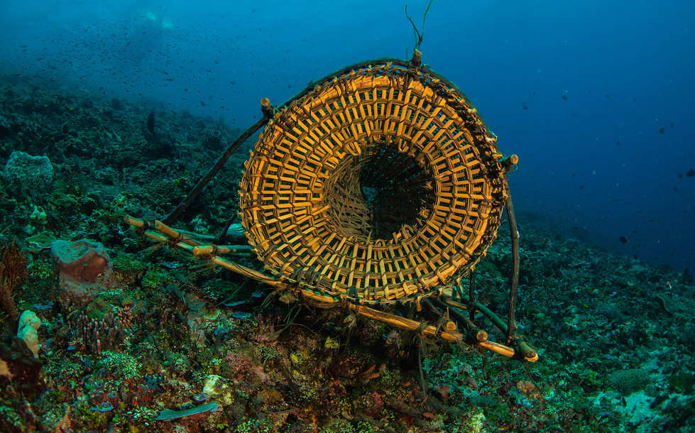 Diving Pantar Indonesien – traditionelle Fischreuse 