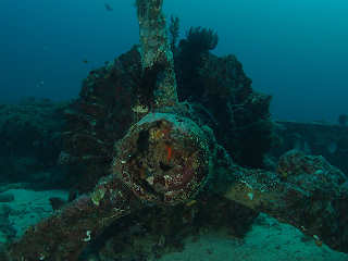 Flugzeugwrack vor Kavieng  