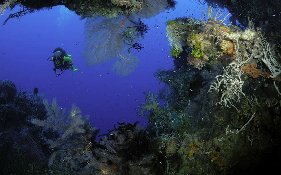 Tauchen am Spot South Emma in der Kimbe Bay, Papua-Neuguinea 