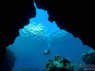 © Manta Ray Bay Resort & Yap Divers