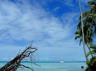 Tauchreisen nach Fakarava – Franz. Polynesien 