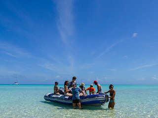 Tauchsafaris um Fakarava, Kauehi und Toau 