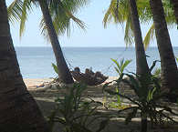 Entspannte Aussicht auf das Meer – Luzon und Mindoro 
