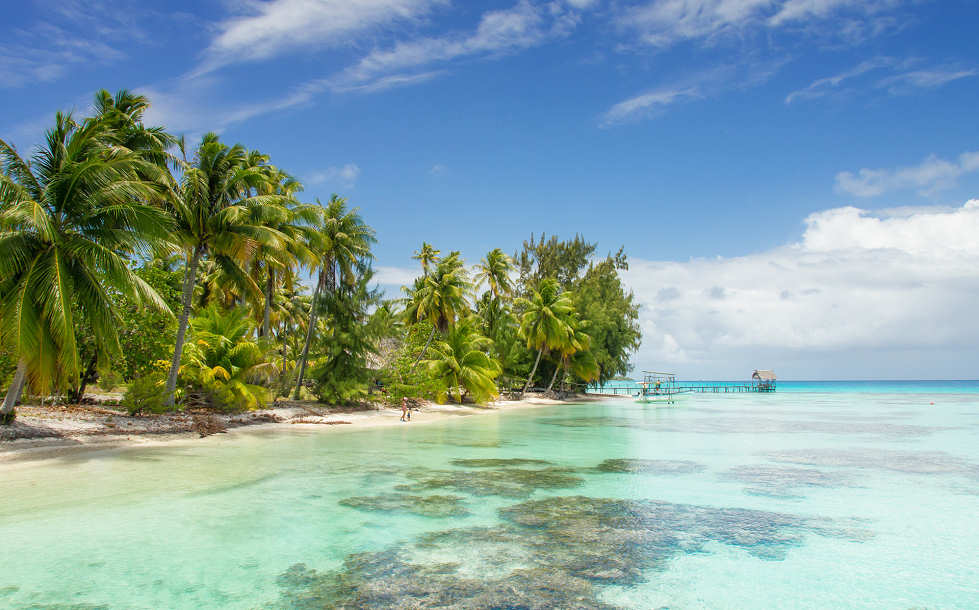 Tauchreisen nach Französisch Polynesien 